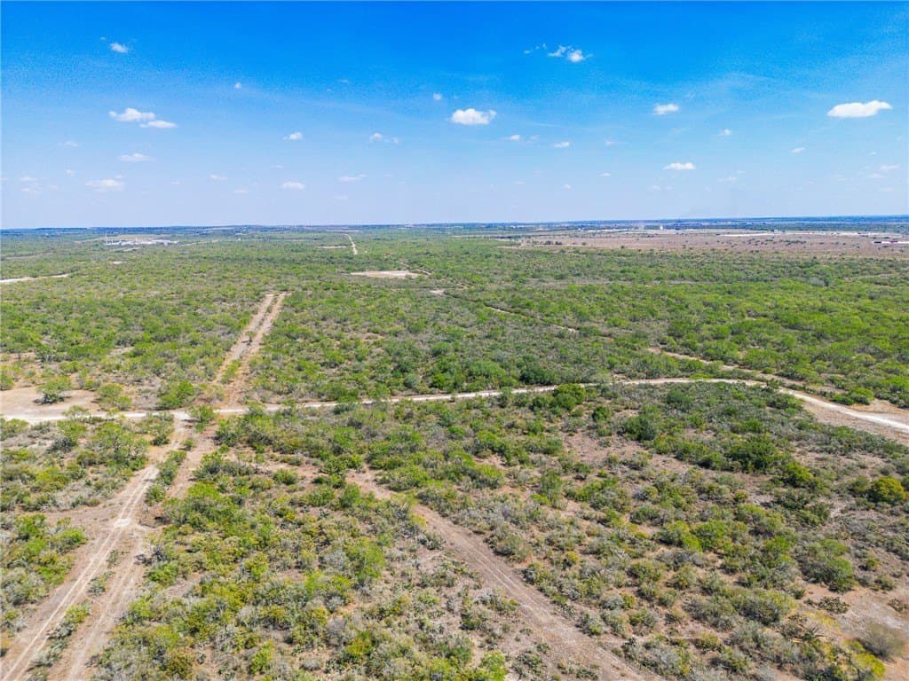 1,919 acres in Atascosa County - photo 16