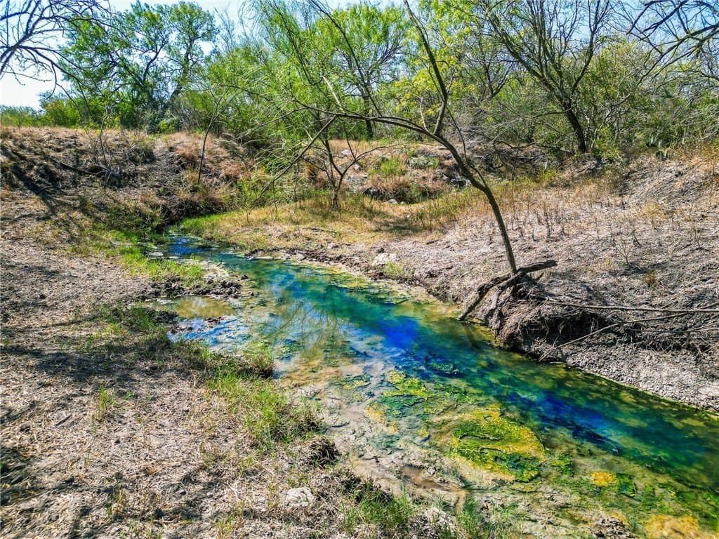 1,919 acres in Atascosa County