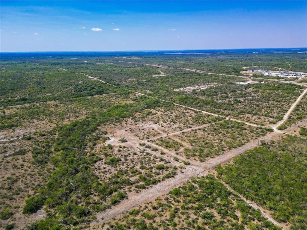1,919 acres in Atascosa County - photo 13