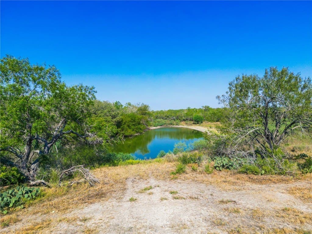 1,919 acres in Atascosa County - photo 22