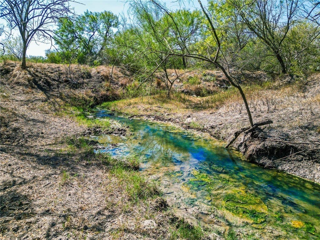 1,919 acres in Atascosa County gallery image 4