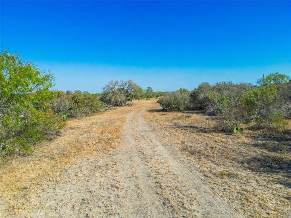 1,919 acres in Atascosa County - photo 19