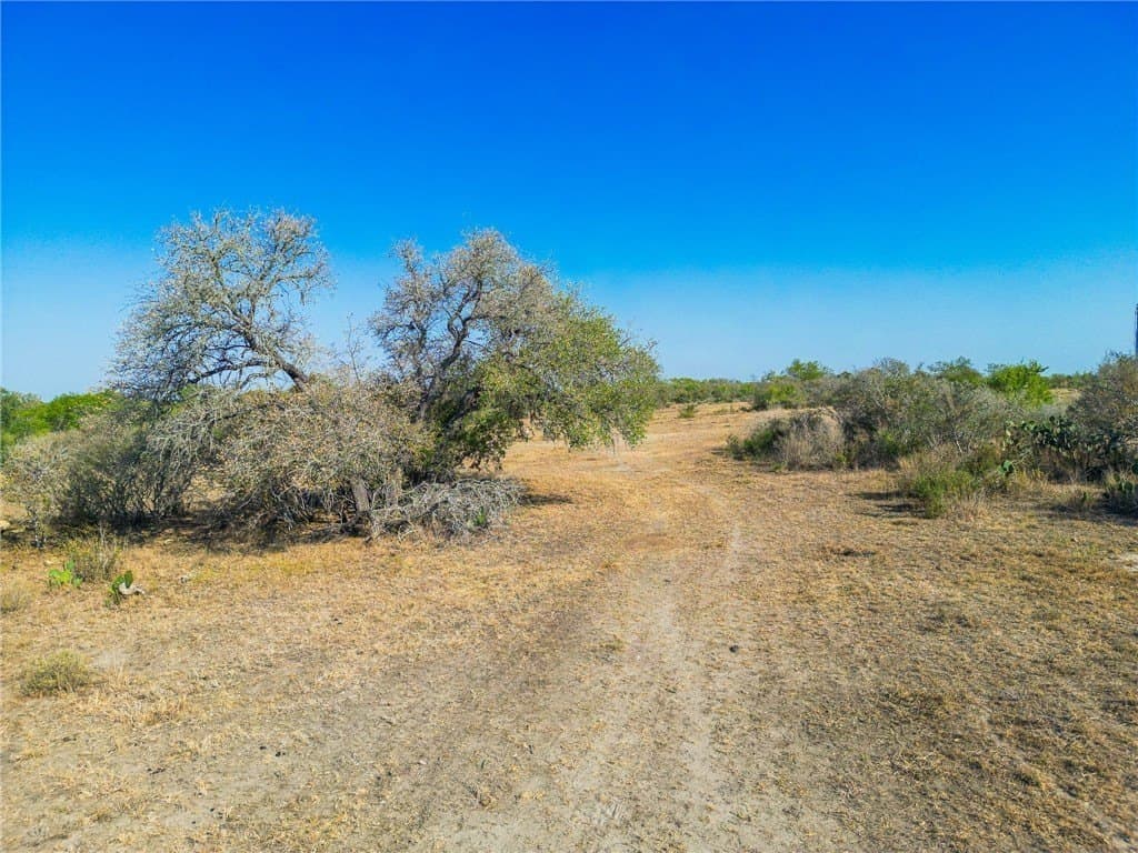 1,919 acres in Atascosa County - photo 20