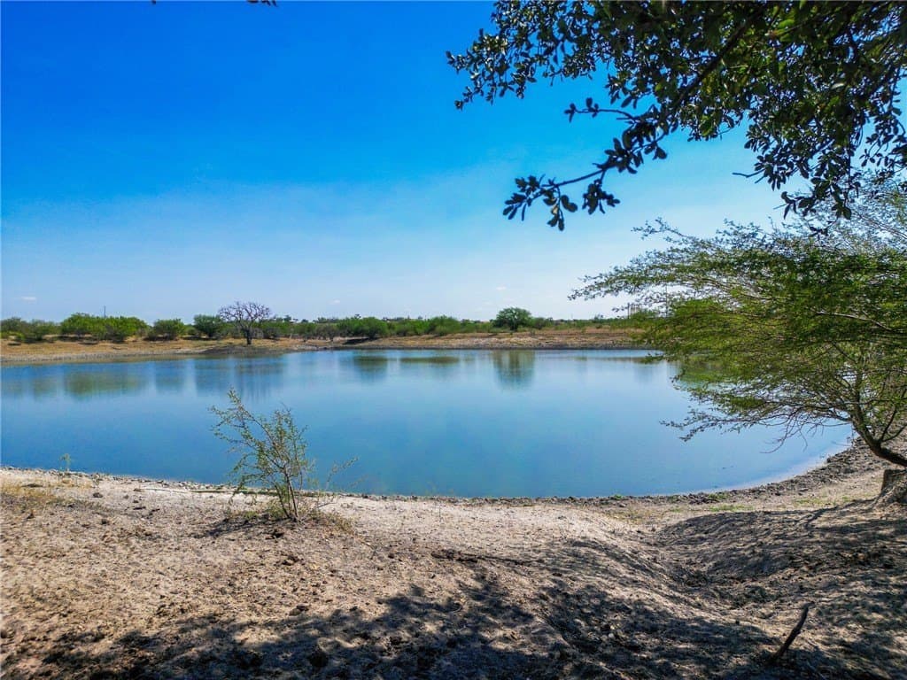 1,919 acres in Atascosa County gallery image 2