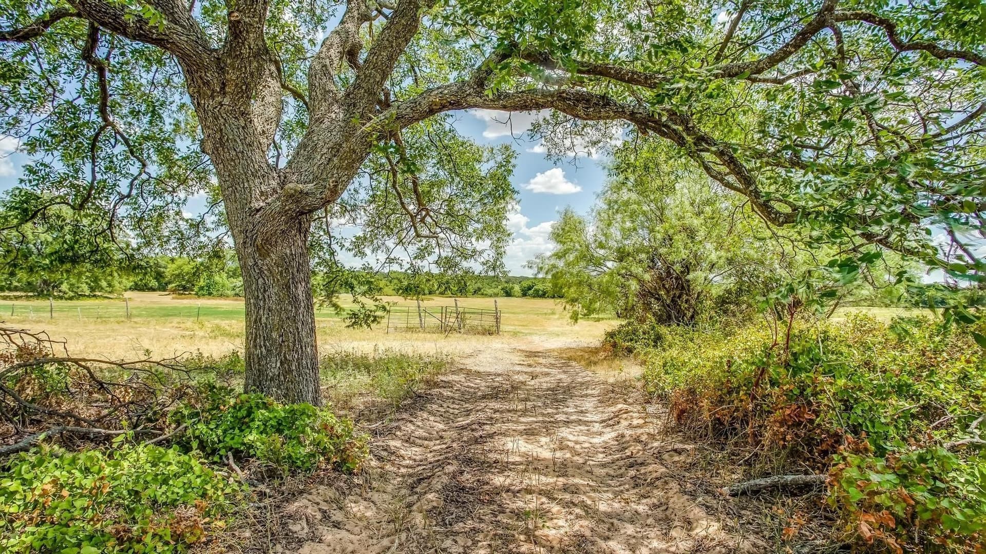 85.7 acres in Erath County - photo 16