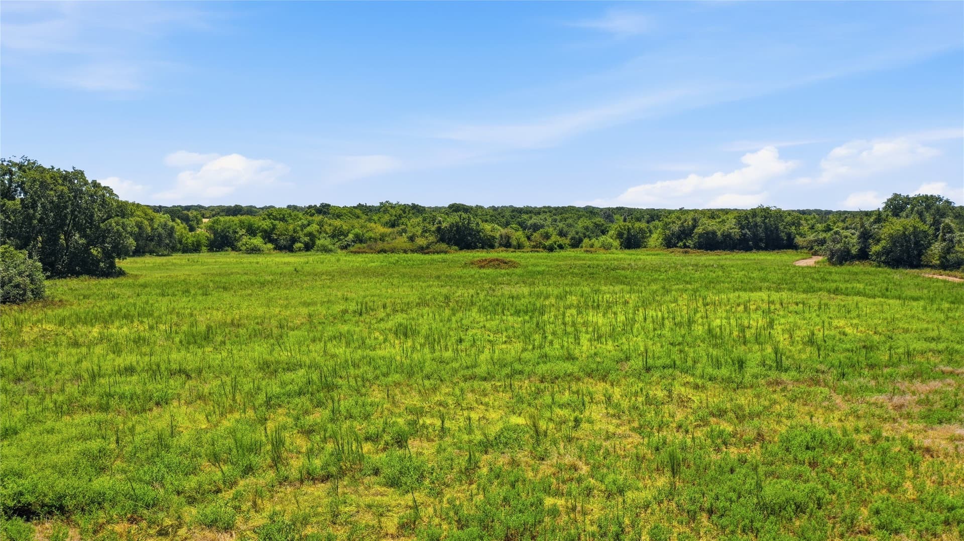 85.7 acres in Erath County - photo 32