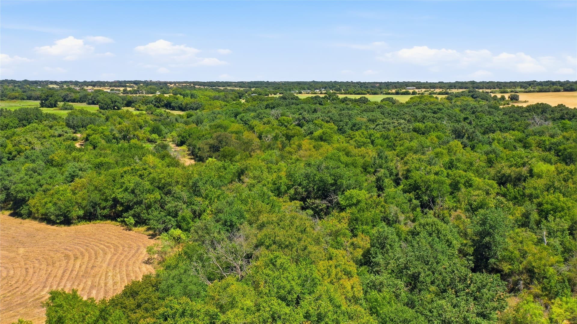 85.7 acres in Erath County - photo 30