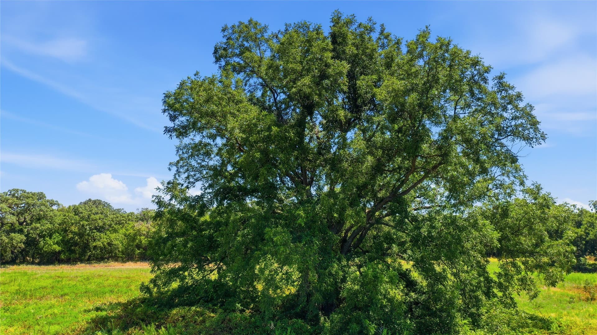 85.7 acres in Erath County - photo 33