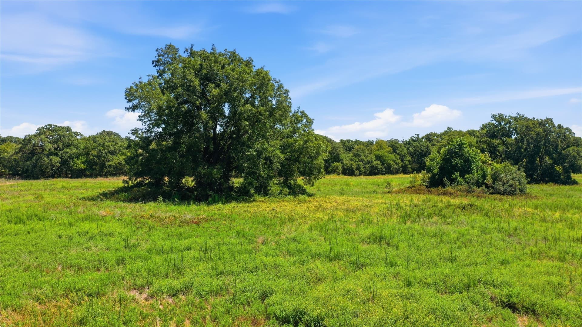 85.7 acres in Erath County - photo 31