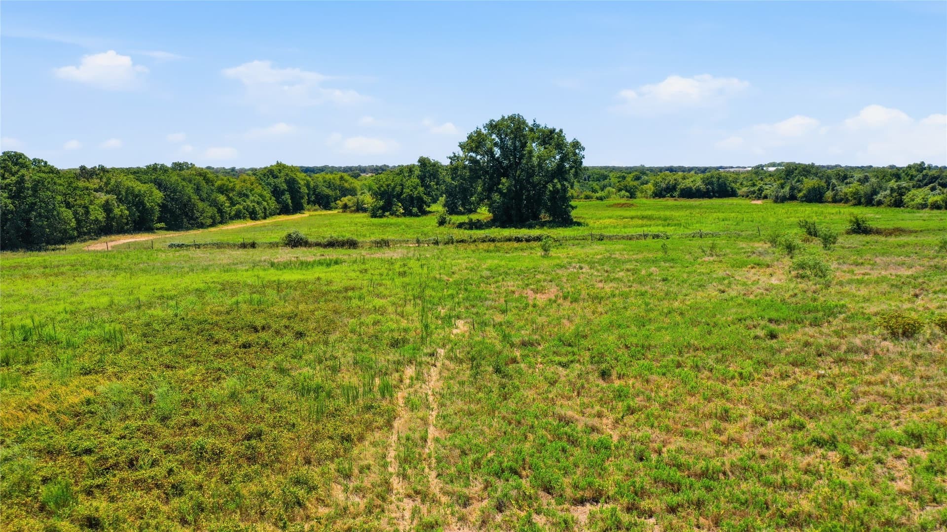 85.7 acres in Erath County - photo 21