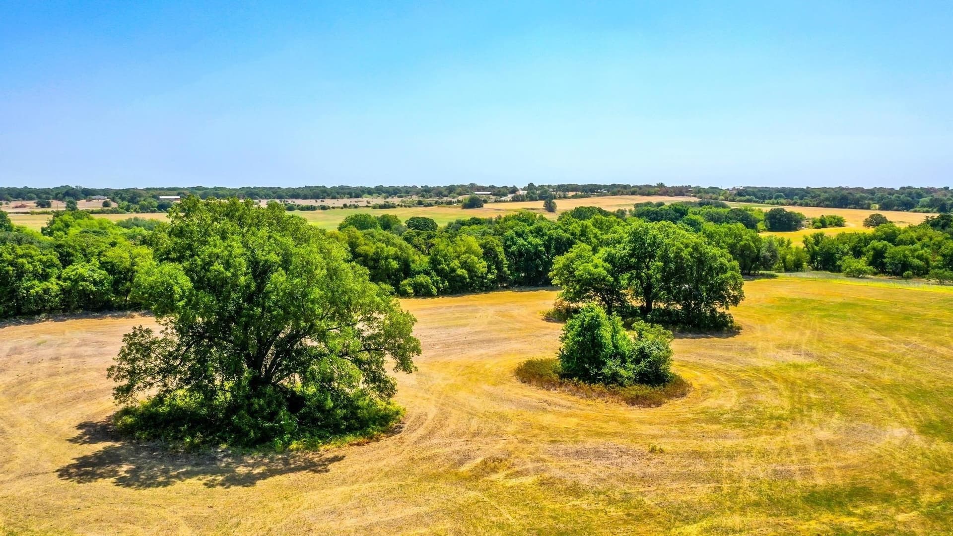 85.7 acres in Erath County - photo 23