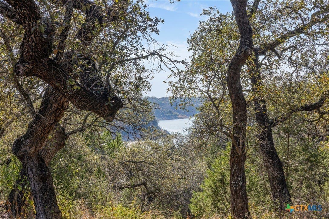 41.49 acres in Travis County - photo 17