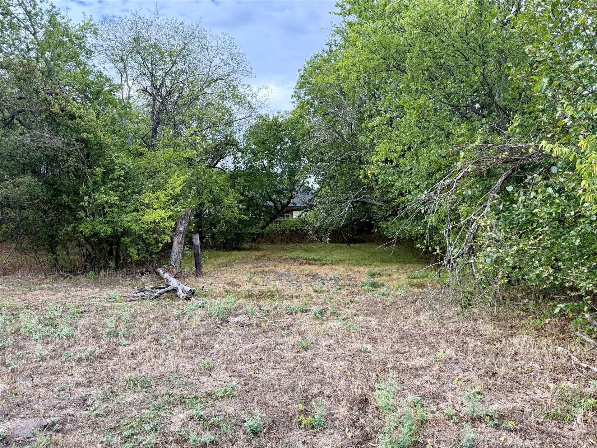 0.15 acres in Navarro County - photo 2