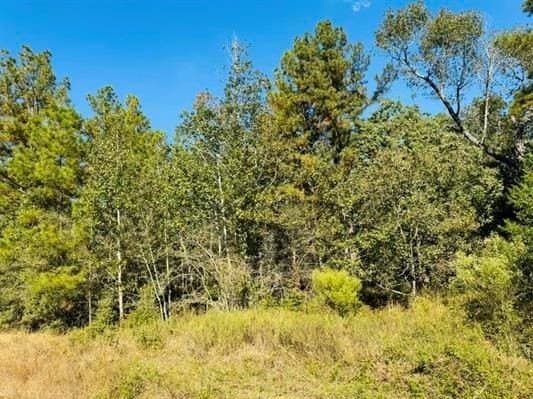 3.93 acres in Texas County featured view
