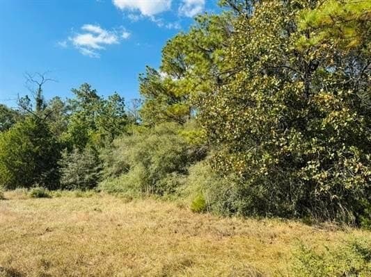3.93 acres in Texas County gallery image 2