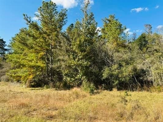 3.93 acres in Texas County gallery image 4