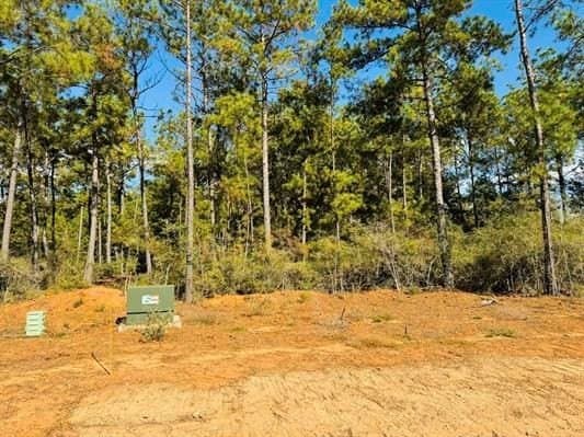 3.93 acres in Texas County gallery image 3