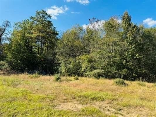3.93 acres in Texas County