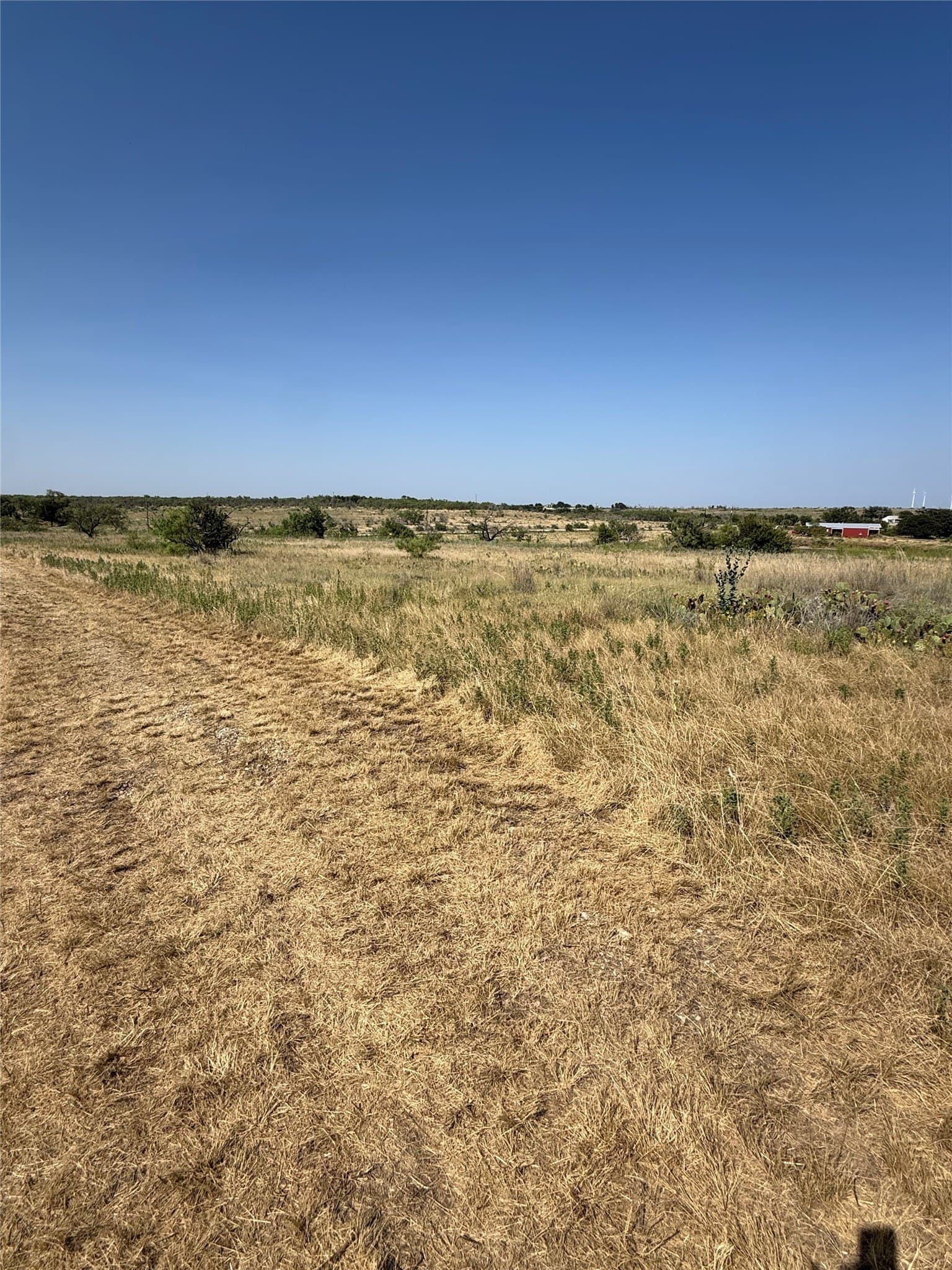 29.16 acres in Young County - photo 18
