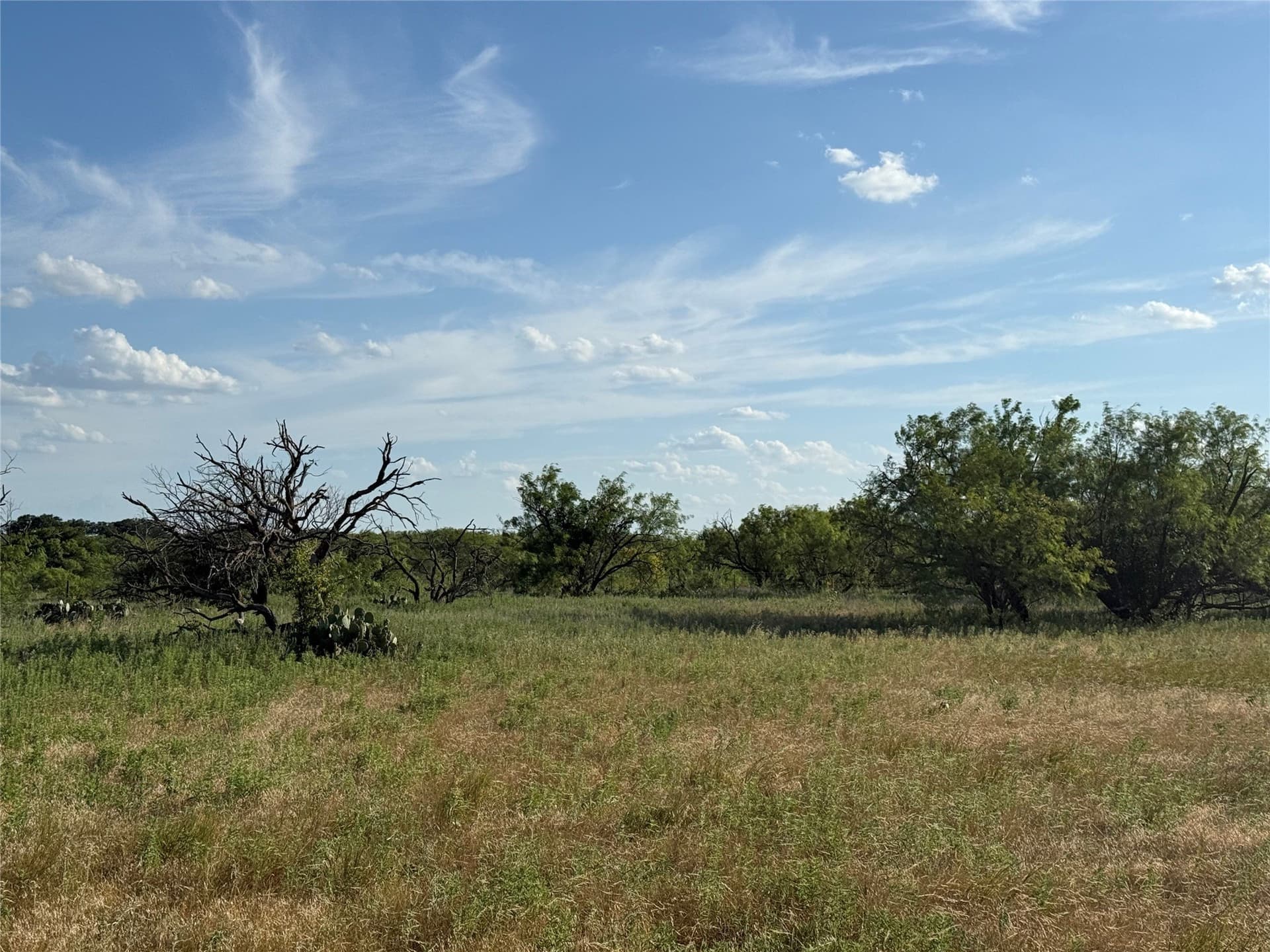 29.16 acres in Young County - photo 12