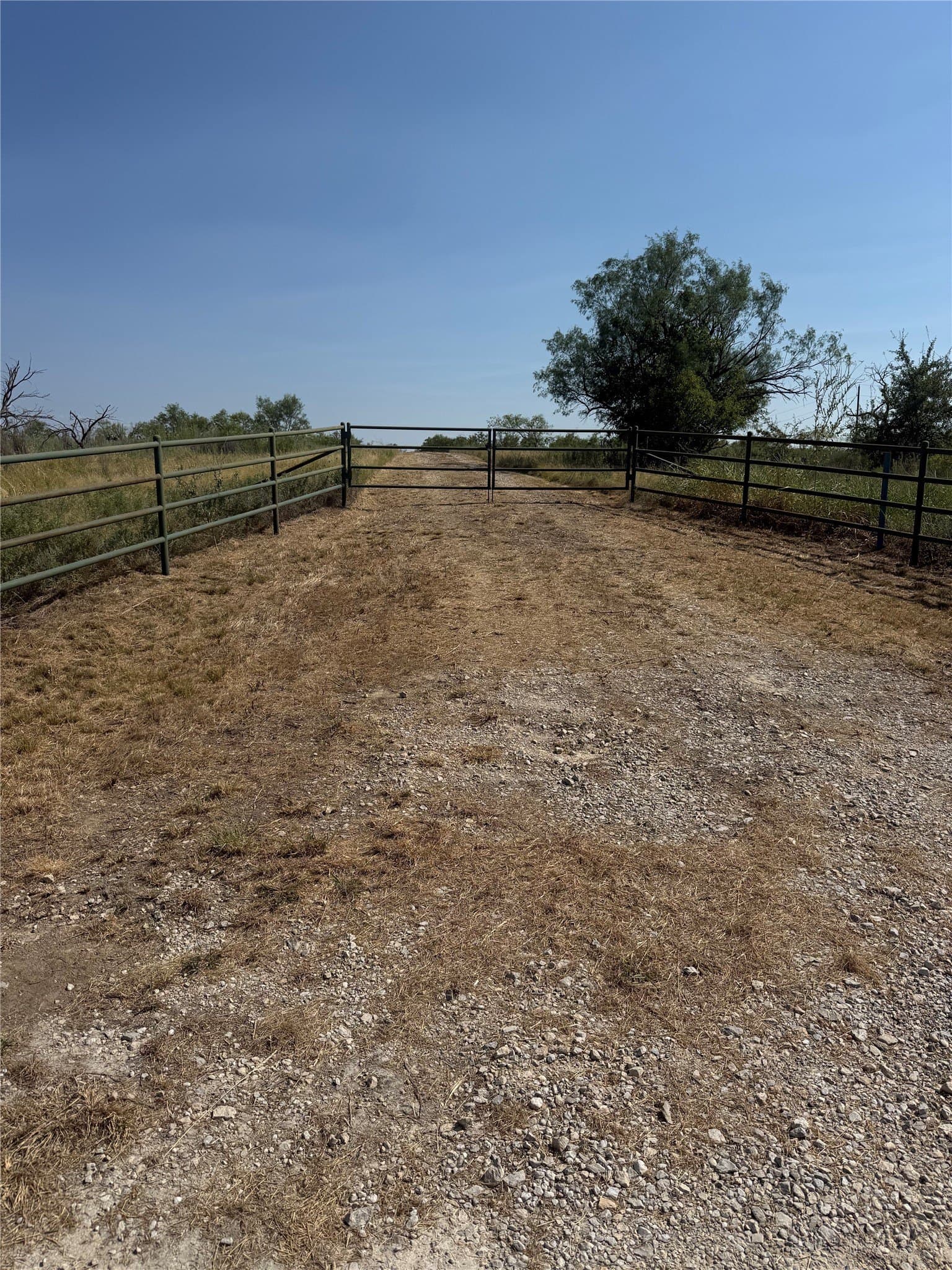 29.16 acres in Young County - photo 14