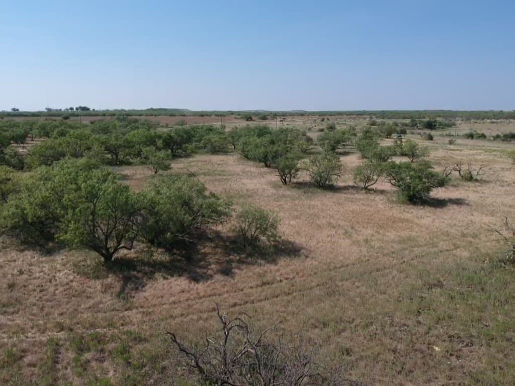 29.16 acres in Young County - photo 10