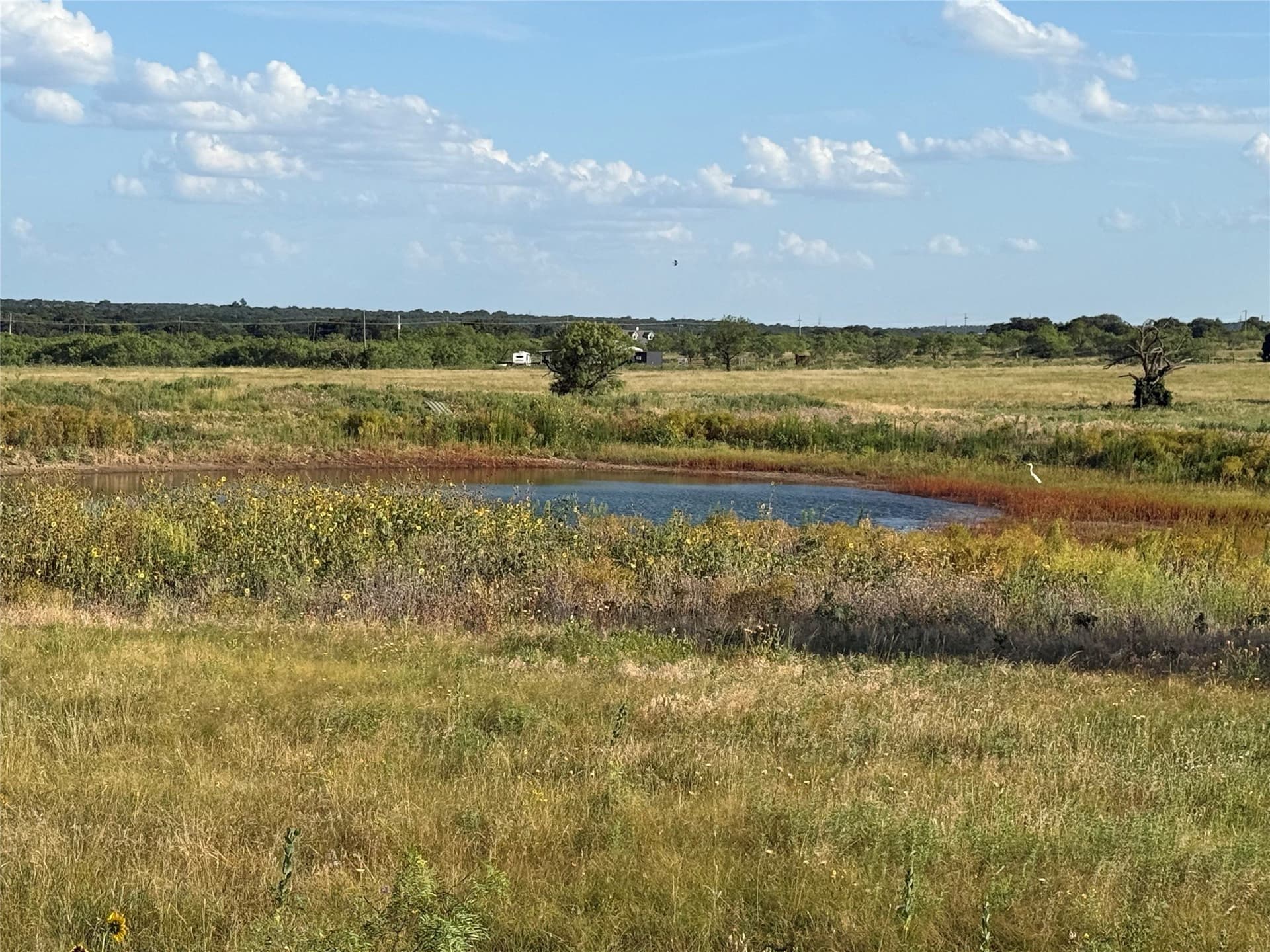 29.16 acres in Young County - photo 6