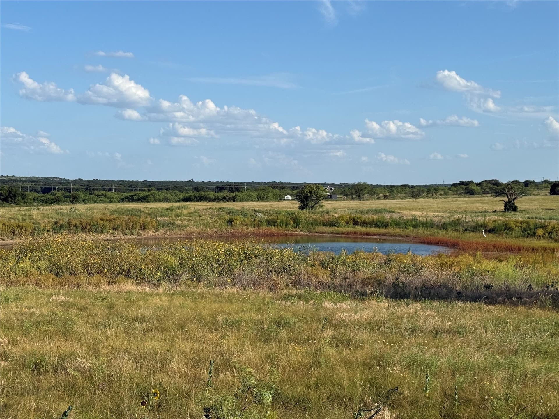 29.16 acres in Young County - photo 7
