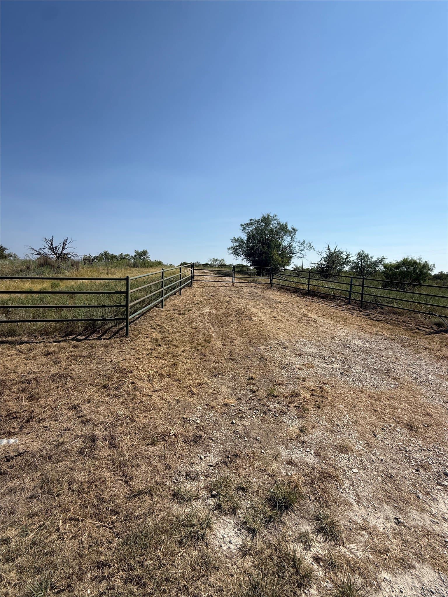 29.16 acres in Young County - photo 15