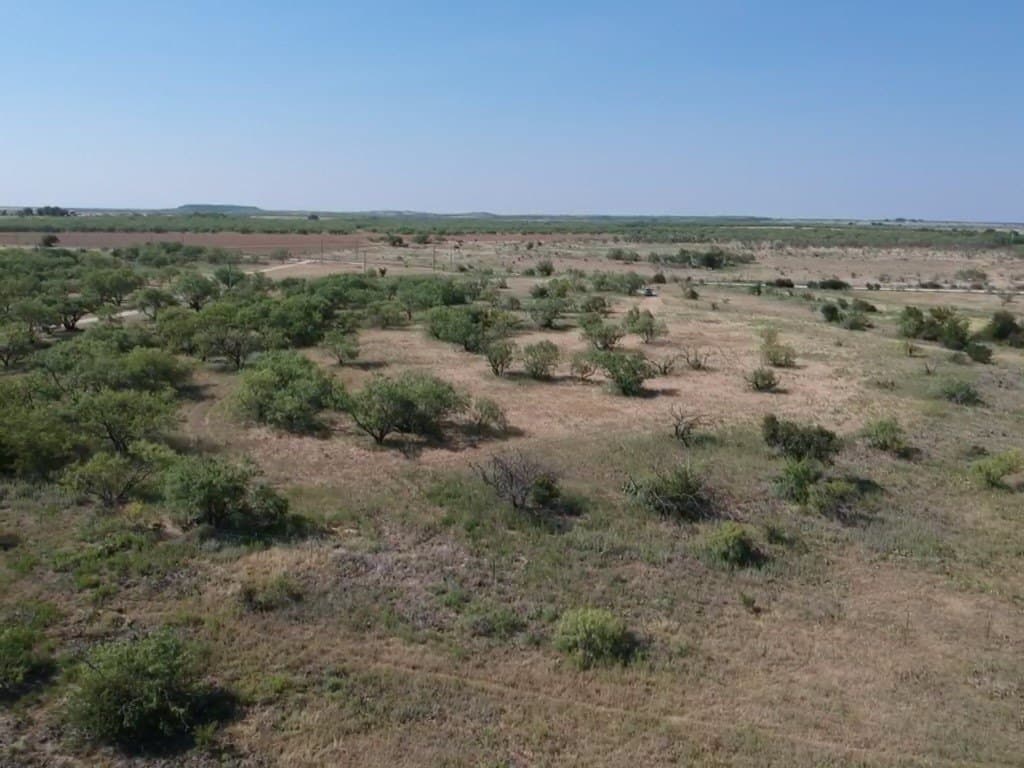 29.16 acres in Young County - photo 8