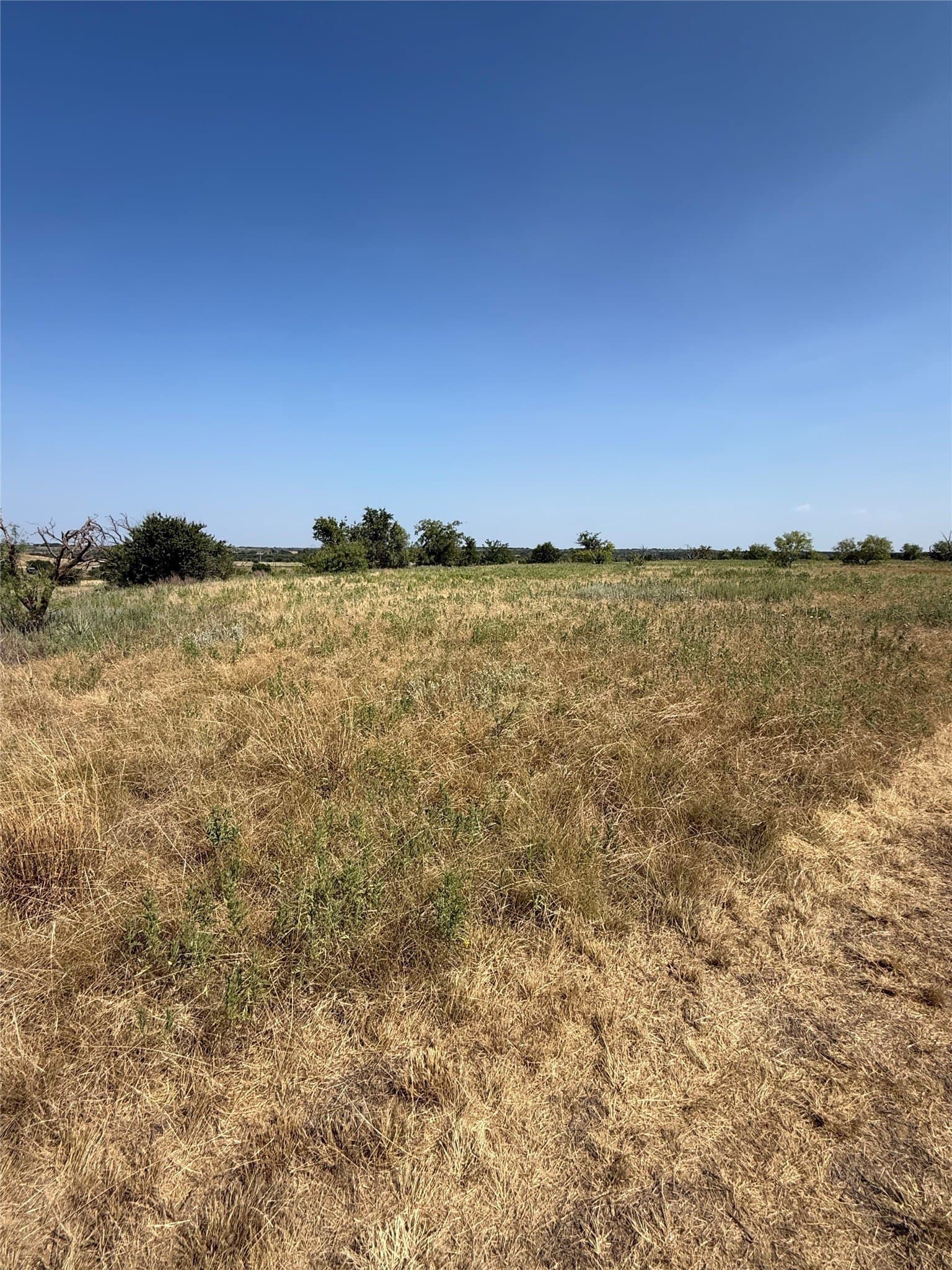 29.16 acres in Young County - photo 19