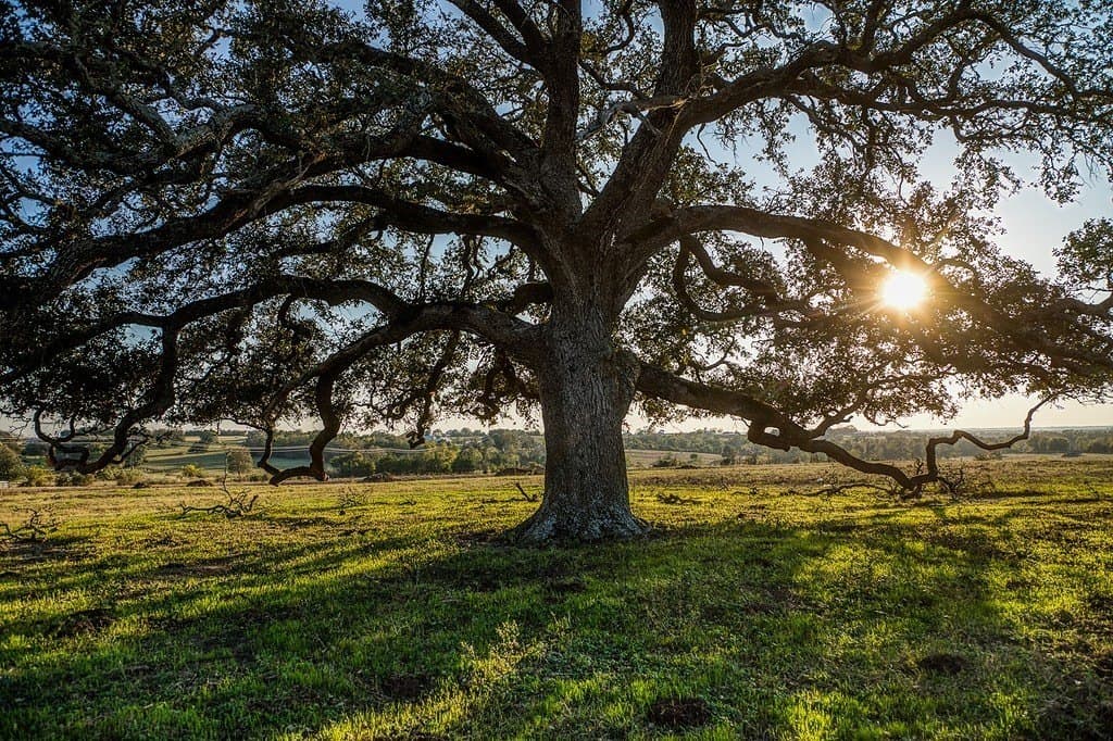 32.5 acres in Washington County gallery image 2