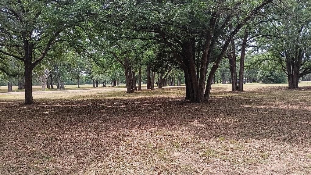 2.05 acres in Navarro County featured view
