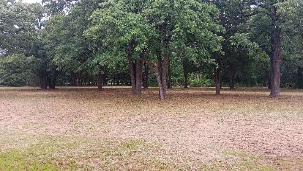 2.05 acres in Navarro County gallery image 4