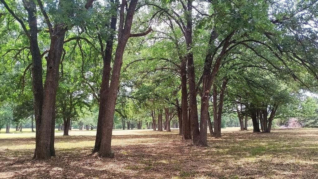 2.05 acres in Navarro County