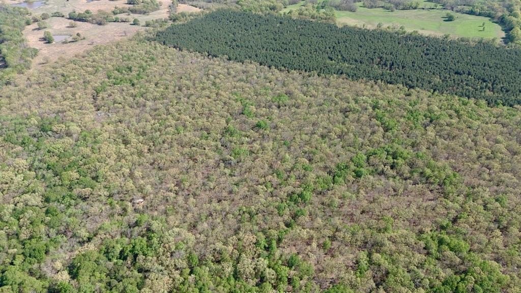 9.74 acres in Red River (TX) County featured view