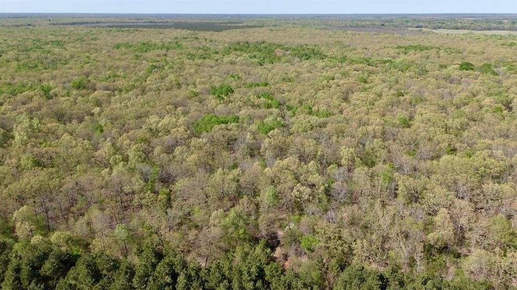 9.74 acres in Red River (TX) County gallery image 4