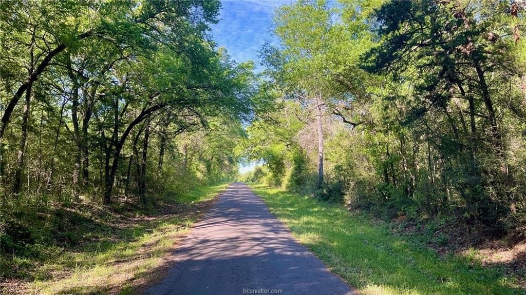 89.33 acres in Robertson County - photo 47
