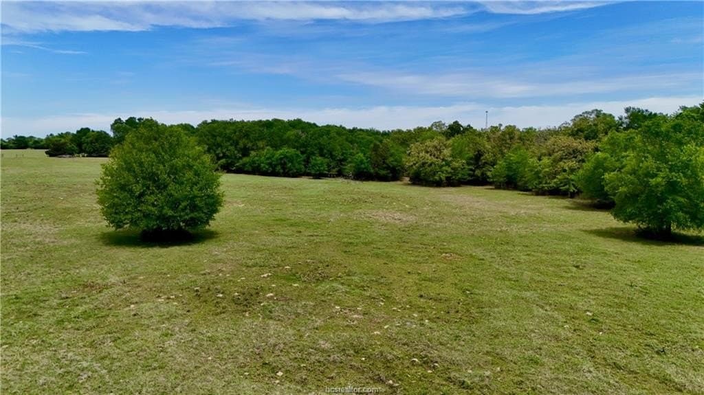 89.33 acres in Robertson County - photo 42