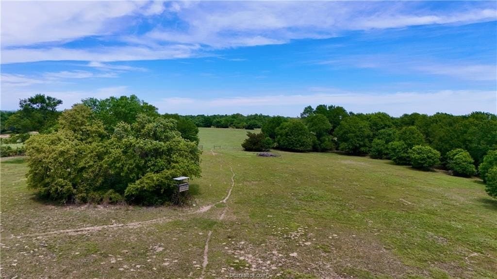 89.33 acres in Robertson County - photo 43