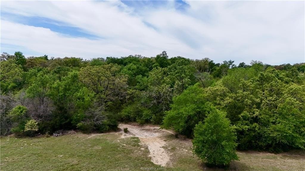 89.33 acres in Robertson County - photo 44