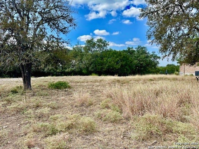 1.08 acres in Bexar County gallery image 3