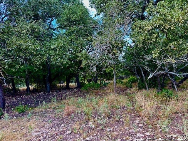 1.08 acres in Bexar County gallery image 2