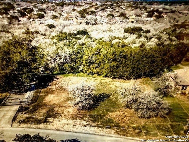 1.08 acres in Bexar County - photo 6