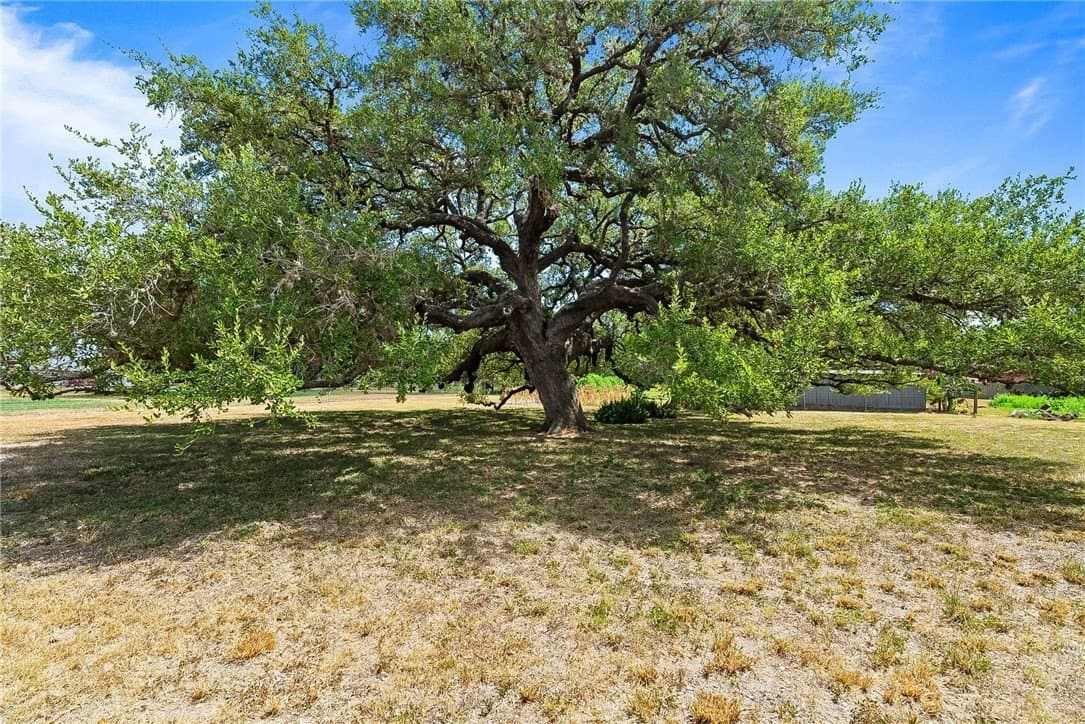 100,000 acres in Bee County - photo 35