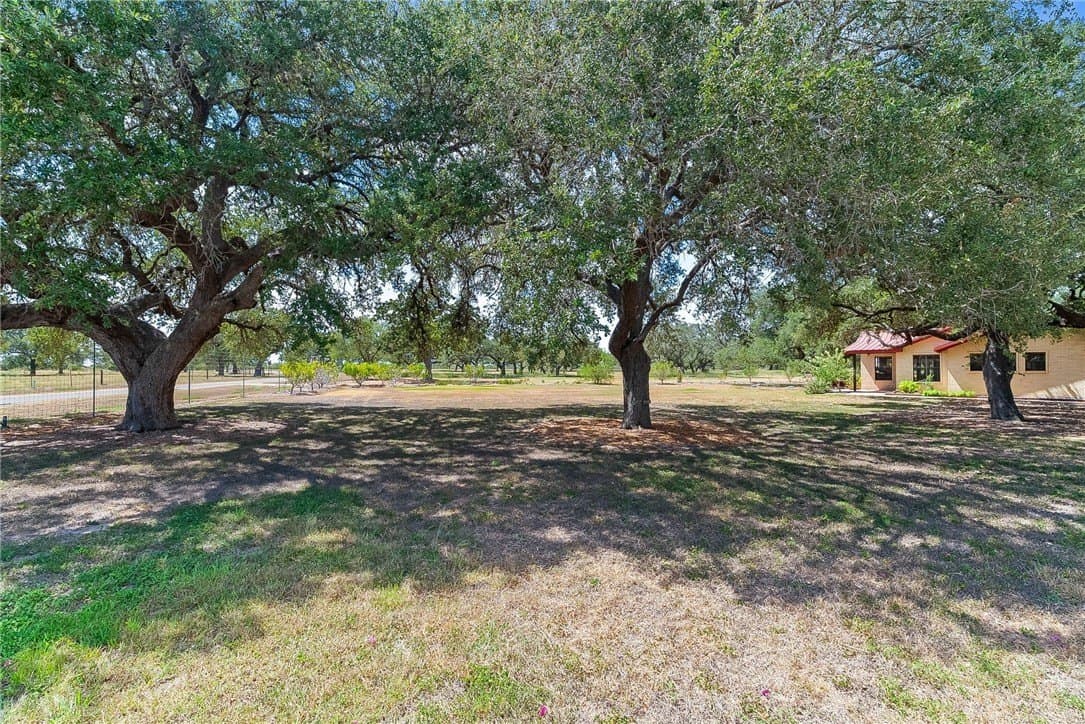 100,000 acres in Bee County - photo 11