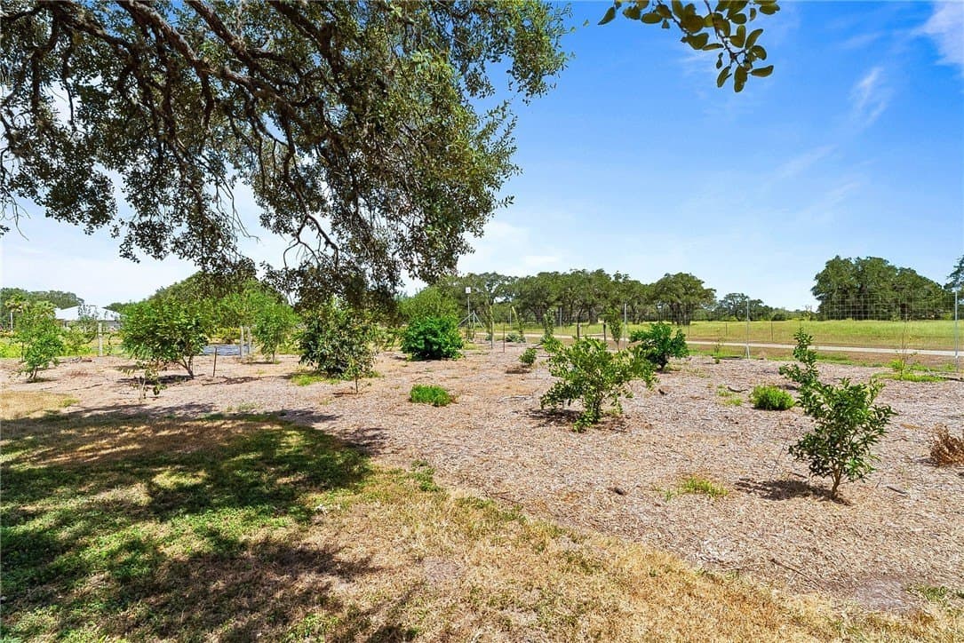 100,000 acres in Bee County - photo 8