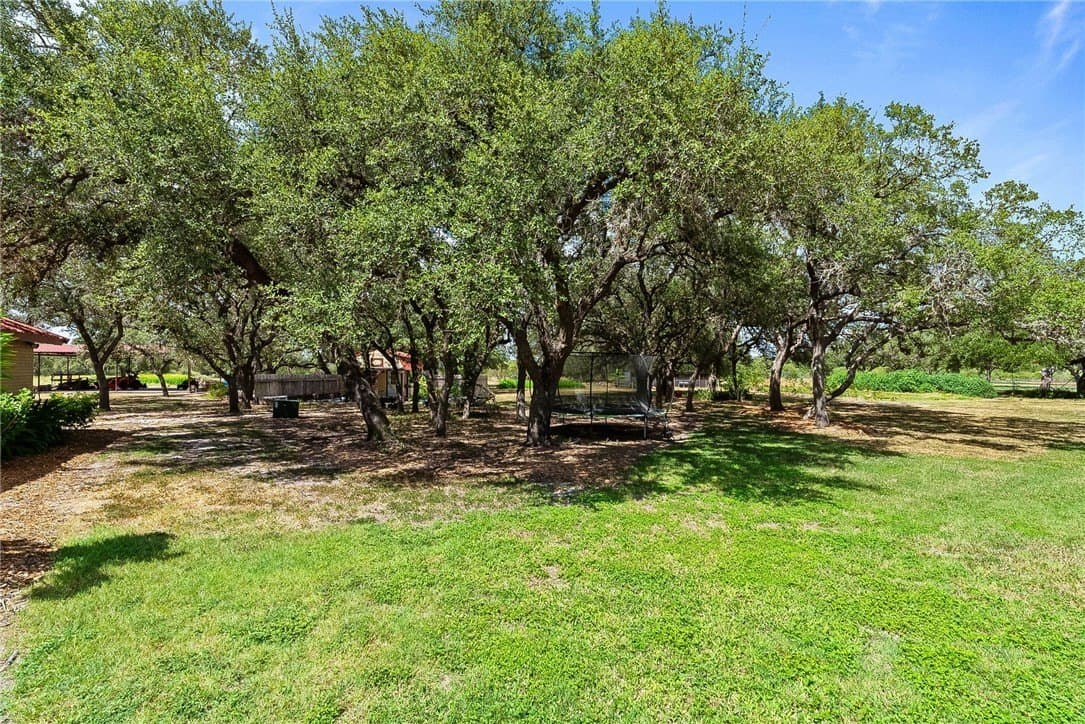 100,000 acres in Bee County - photo 36