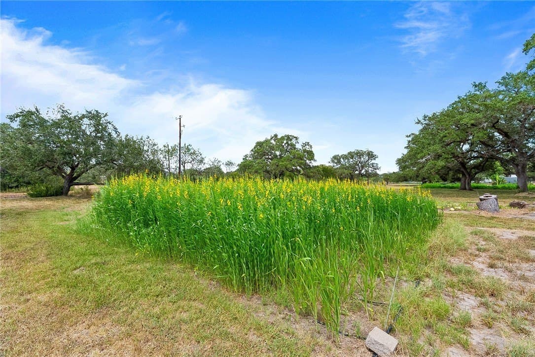 100,000 acres in Bee County - photo 9