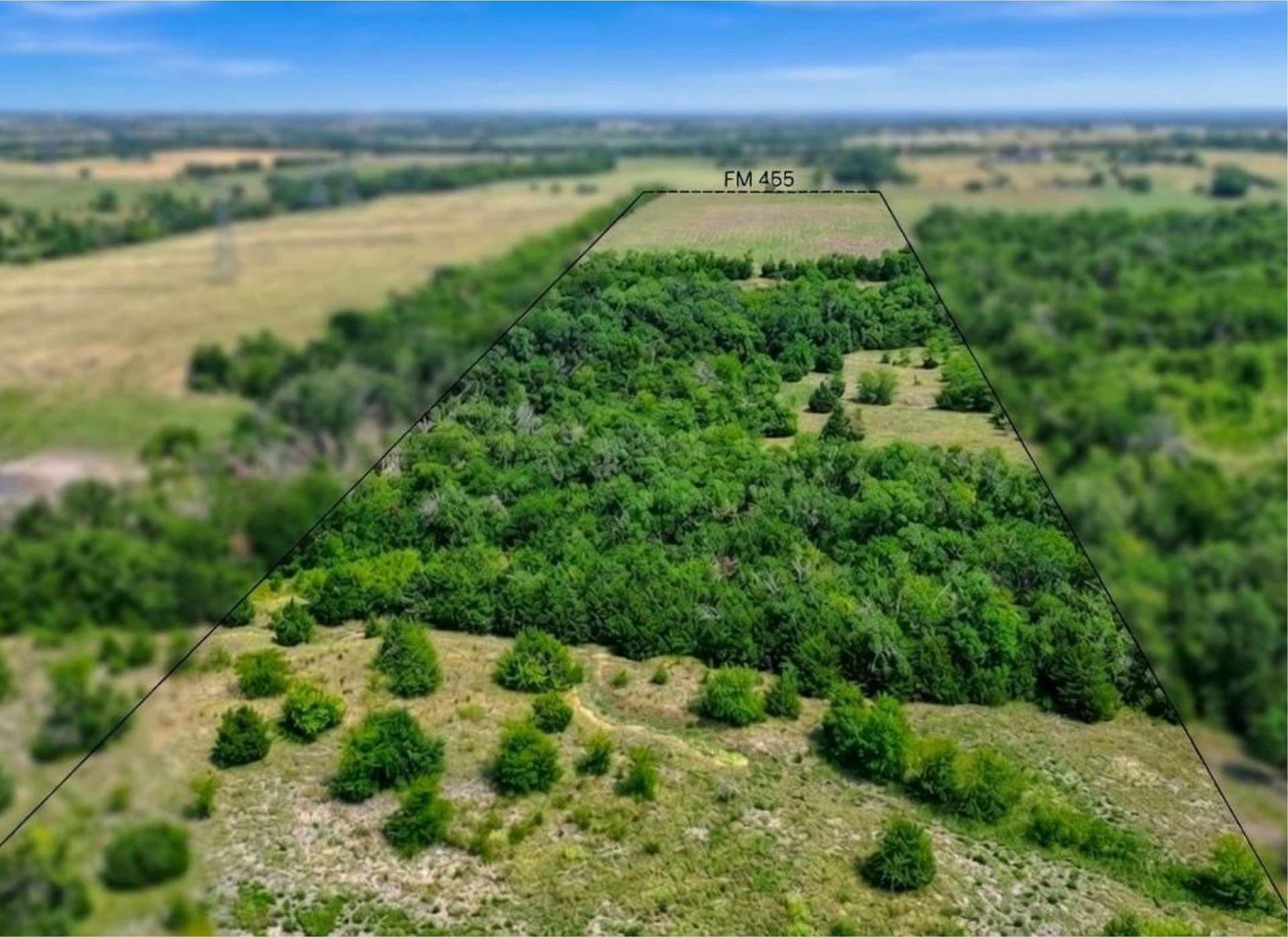 51.63 acres in Collin County - photo 2